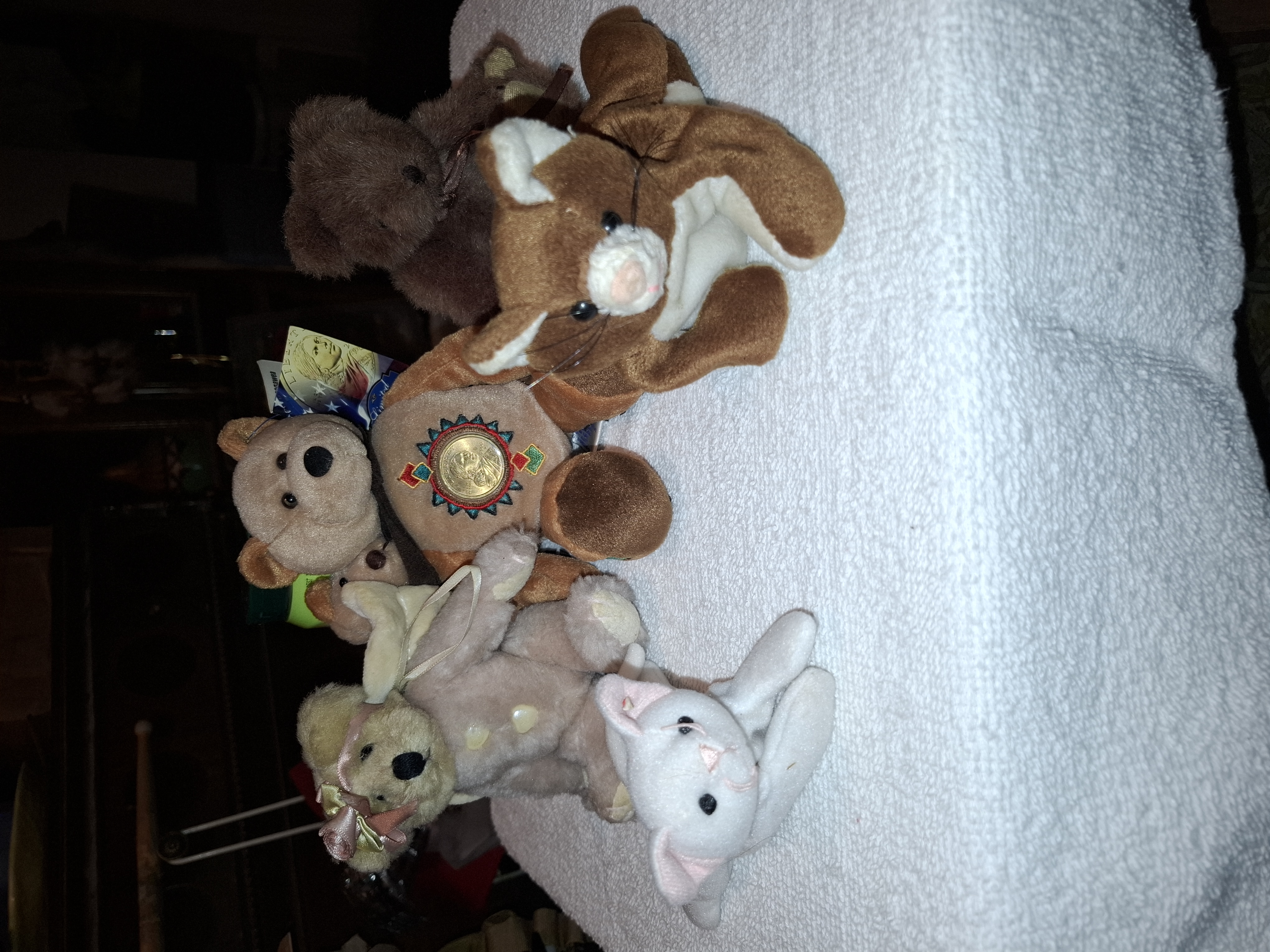 Plushy teady bears and 1 ty kitty photo 1
