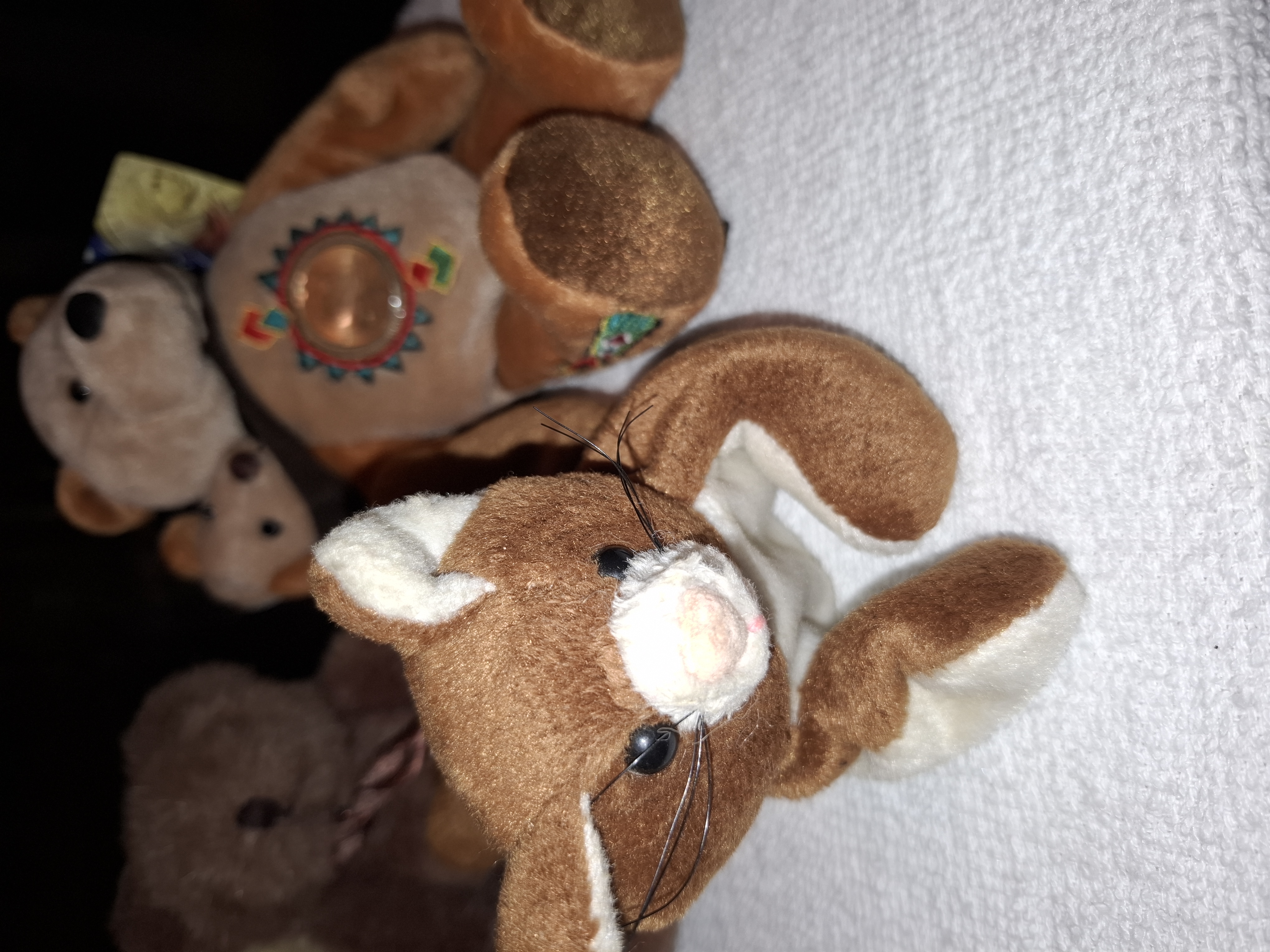 Plushy teady bears and 1 ty kitty photo 5