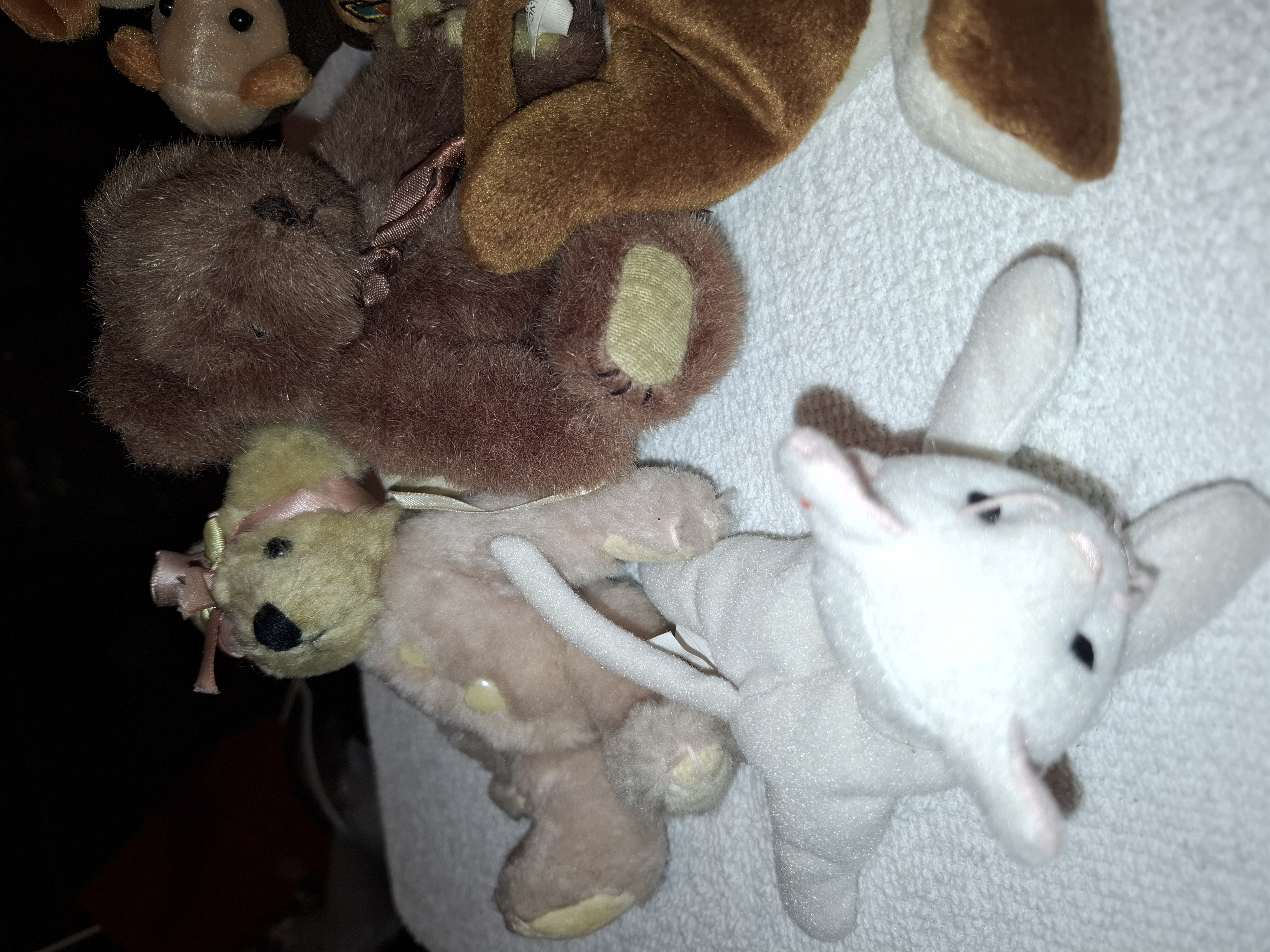Plushy teady bears and 1 ty kitty photo 4